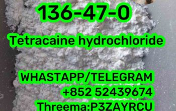 136-47-0 Tetracaine hydrochloride