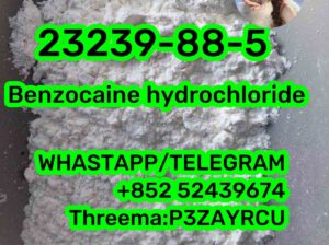 23239-88-5 Benzocaine hydrochloride
