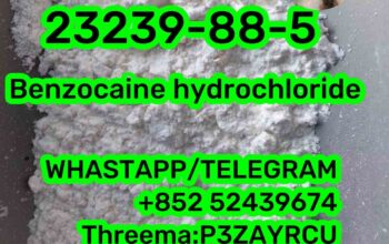 23239-88-5 Benzocaine hydrochloride