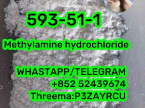 593-51-1 Methylamine hydrochloride