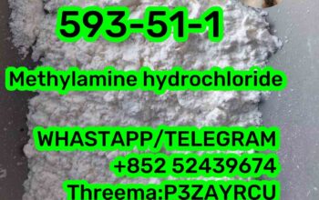 593-51-1 Methylamine hydrochloride