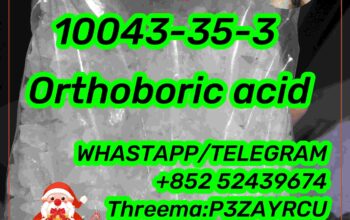 10043-35-3 Orthoboric acid