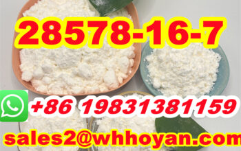 CAS 28578-16-7 new BMK Powder 100% safety delivery