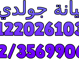 اقرب صيانة ثلاجات جولدى مصر الجديدة 01220261030