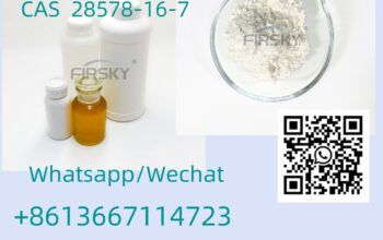 China manufacturer methylamine hcl cas 593-51-1