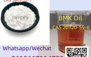 China manufacturer New Bmk Oil cas 20320-59-6 +8