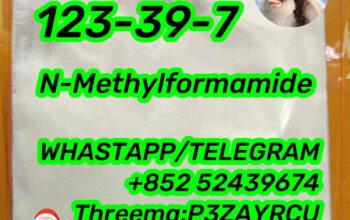 N-Methylformamide 123-39-7 best price