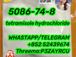 tetramisole hydrochloride 5086-74-8
