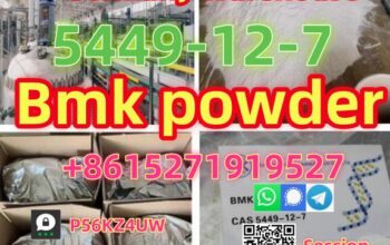 5449-12-7 BMK powder Germany Warehouse pickup righ