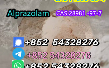 high quality CAS 71368-80-4 Bromazolam WhatsApp:+8