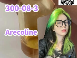 300-08-3 Arecoline high quality