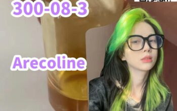 300-08-3 Arecoline high quality