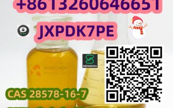 Competitive price CAS 28578-16-7 New Experienced s