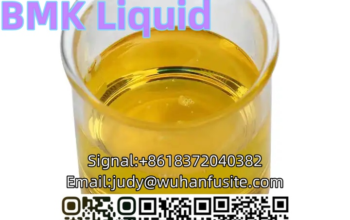 Fast Delivery BMK Ethyl 3-oxo-4-phenylbutanoate