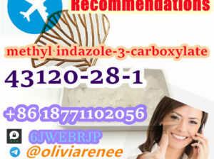 Methyl 1H-indazole-3-carboxylate CAS 43120-28-1