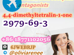 CAS 2979-69-3 +8618771102056