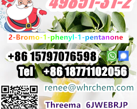 CAS 49851-31-2 +8618771102056