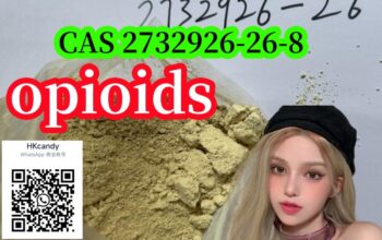 Powerful 2732926-26-8 N-Desethyl-etonitazene