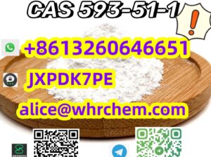 Best sell Experienced supplier CAS 593-51-1 Methy