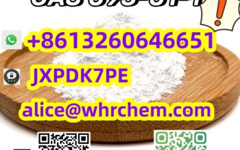 Best sell Experienced supplier CAS 593-51-1 Methy