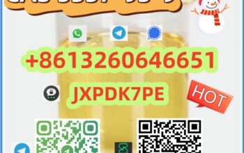 Wholesale BMK Glycidic Acid CAS 5337-93-9 high pur