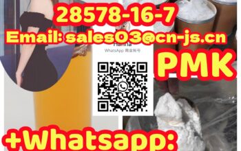 Hot Selling PMK ethyl glycidate 28578-16-7