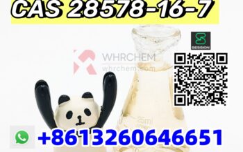 Sell PMK ethyl glycidate CAS 28578-16-7 best sell