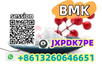 Best sell BMK Powder CAS 5449-12-7 BMK Glycidic Ac