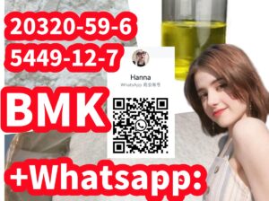 sell like hot cakes Bmk powder/oil 20320-59-6 5449