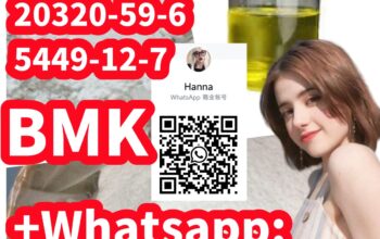 sell like hot cakes Bmk powder/oil 20320-59-6 5449