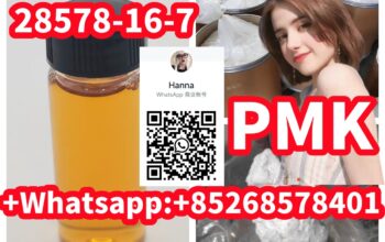 Good Price PMK ethyl glycidate 28578-16-7