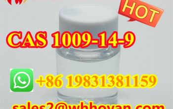 Hot Sale CAS 1009–14–9 Valerophenone Prices