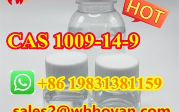 Lowest price Valerophenone CAS 1009-14-9