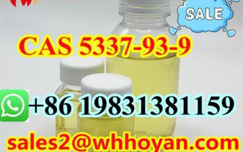 Russia safe delivery CAS 5337-93-9