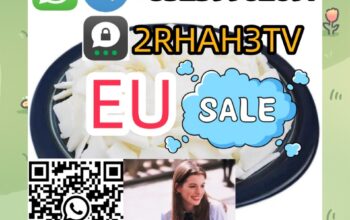 Wholesale Eu Eu Eu In Best Price