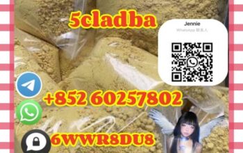 5cladba,2709672-58-0,High quality products(+852602