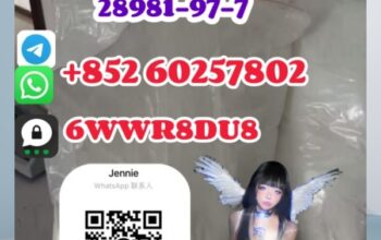 Please contact: Name:Jennie Telegram/WhatsAPP: +85