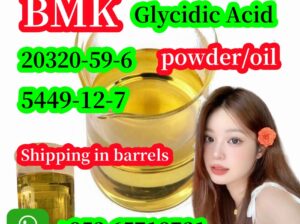 ,20320-BMK Glycidate acid powder bmk cas 5449-12-7
