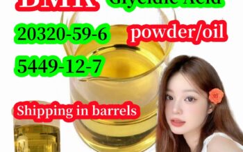 ,20320-BMK Glycidate acid powder bmk cas 5449-12-7