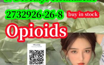 High yield High purity CAS:2732926-26-8 N-Desethyl