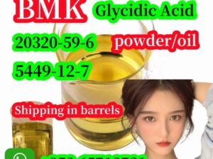 raw material BMK Powder,20320-59-6