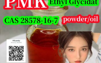 The cheapest price PMK Ethyl Glycidate,28578-16-7