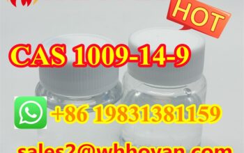 Wholesale Price of Valerophenone CAS 1009-14-9