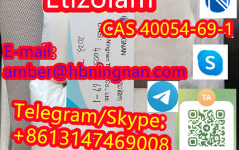 Etizolam CAS 40054-69-1