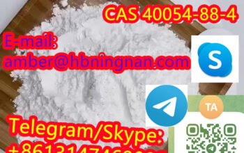 Fluetizolam CAS 40054-88-4