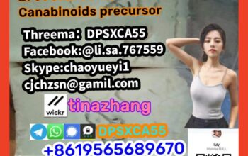 2f-dck cas:111982-50-4,2f-dck cas:111982-50-4