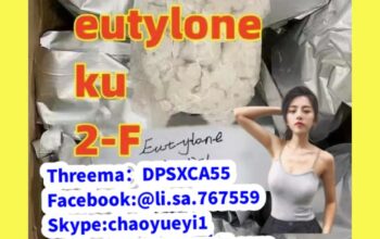 Eutylone cas:802855-66-9/17763-13-2,Eutylone cas:8