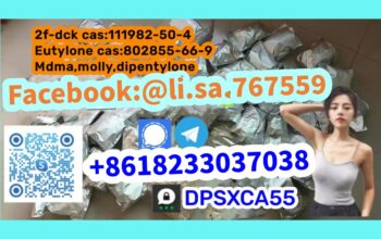 Eutylone cas:802855-66-9/17763-13-2 Mdma,molly,dip