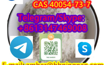 Deschloroetizolam CAS 40054-73-7 China supplier