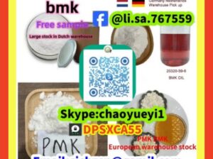 Bmk powder cas:5449-12-7